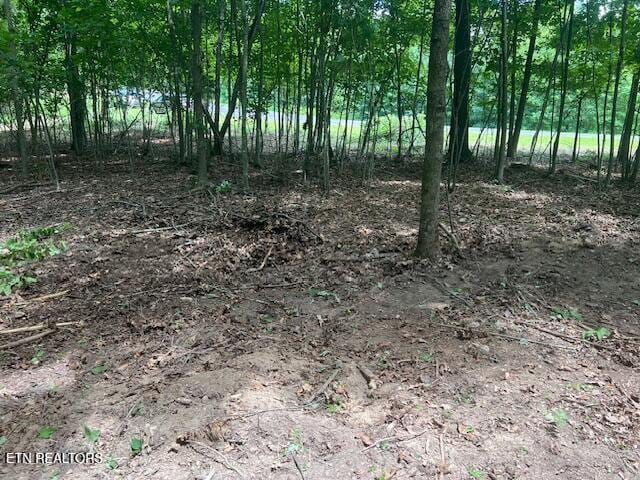 Thief Neck View Dr, Rockwood, TN 37854 - photo 9