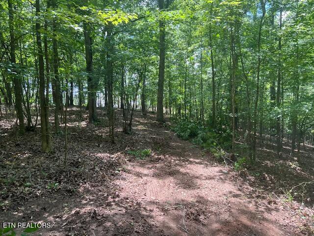 Thief Neck View Dr, Rockwood, TN 37854 - photo 43