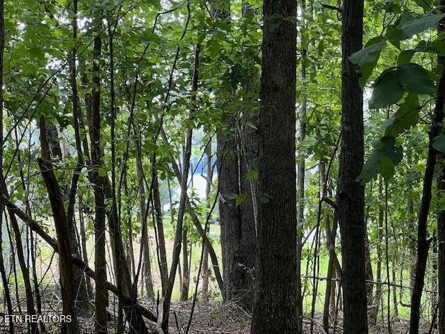 Thief Neck View Dr, Rockwood, TN 37854 - photo 44