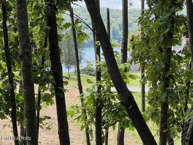Thief Neck View Dr, Rockwood, TN 37854 - photo 45