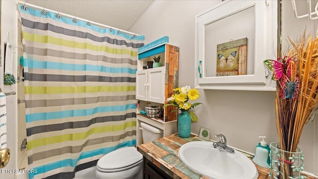 419 Mountain Thrush Dr, Townsend, TN 37882 - full bath with a textured ceiling, toilet, curtained shower, and vanity