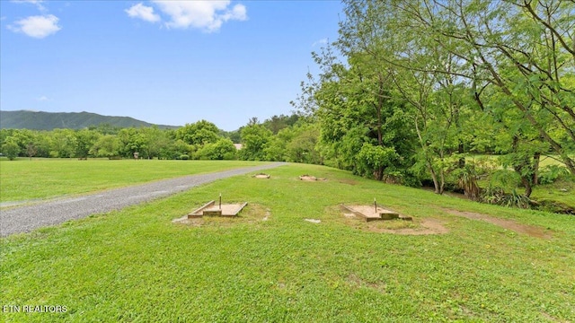 419 Mountain Thrush Dr, Townsend, TN 37882 - view of property's community featuring a lawn and a mountain view