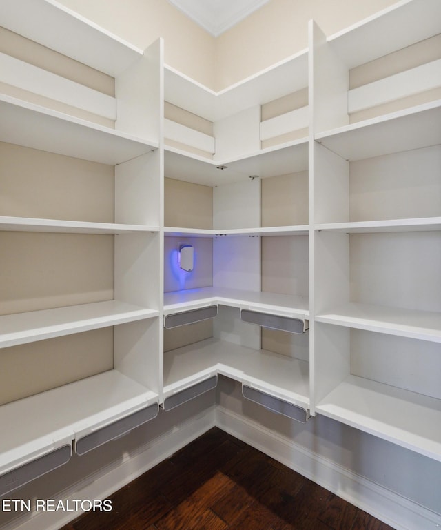 view of pantry