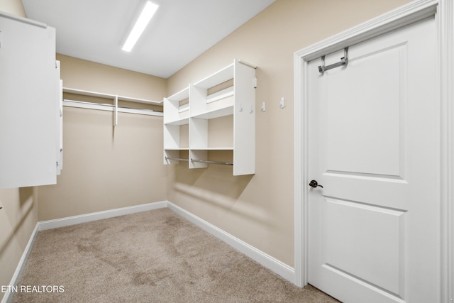 walk in closet featuring carpet flooring