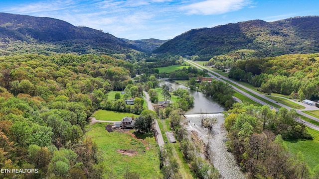4537 Old Walland Hwy, Walland, TN 37886 - birds eye view of property with a view of trees and a water and mountain view
