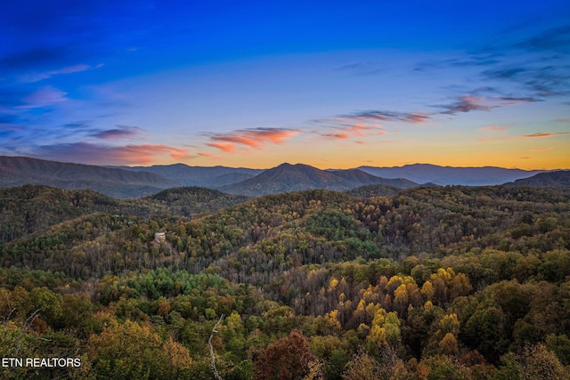 property view of mountains featuring a forest view