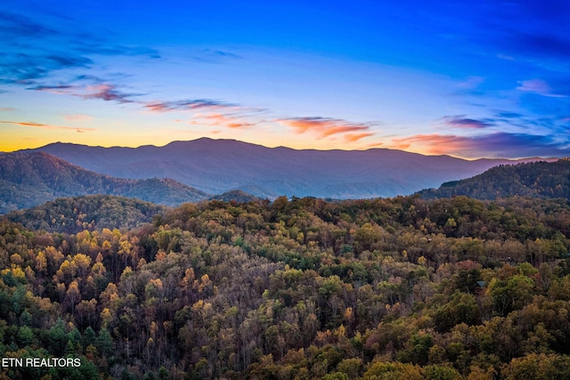 mountain view with a forest view