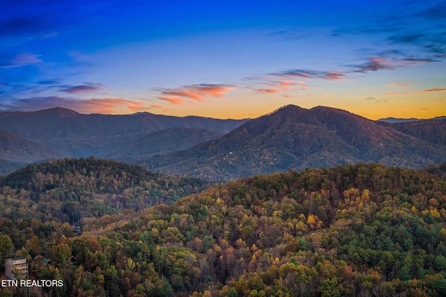 mountain view with a view of trees