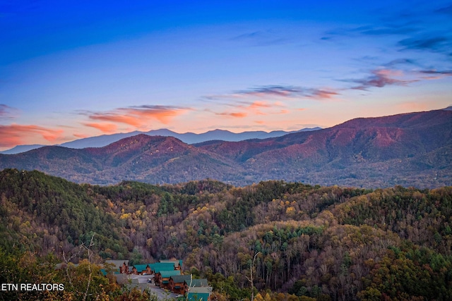 property view of mountains featuring a forest view