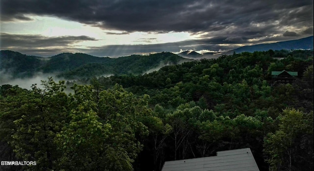 4164 Chamberlain Ln, Sevierville, TN 37862 - property view of mountains featuring a forest view