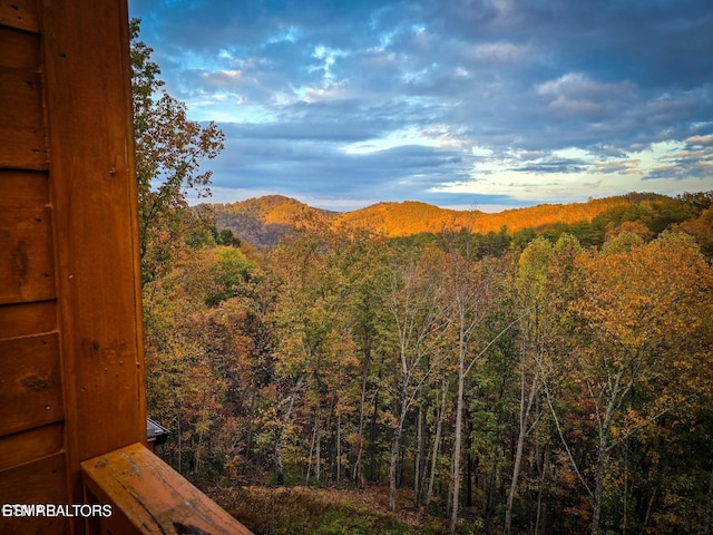 4164 Chamberlain Ln, Sevierville, TN 37862 - property view of mountains featuring a wooded view