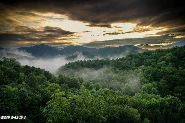 4164 Chamberlain Ln, Sevierville, TN 37862 - property view of mountains featuring a wooded view