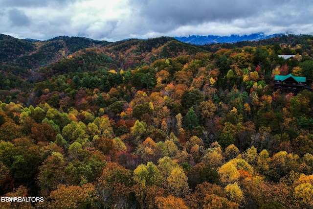 4164 Chamberlain Ln, Sevierville, TN 37862 - property view of mountains featuring a forest view