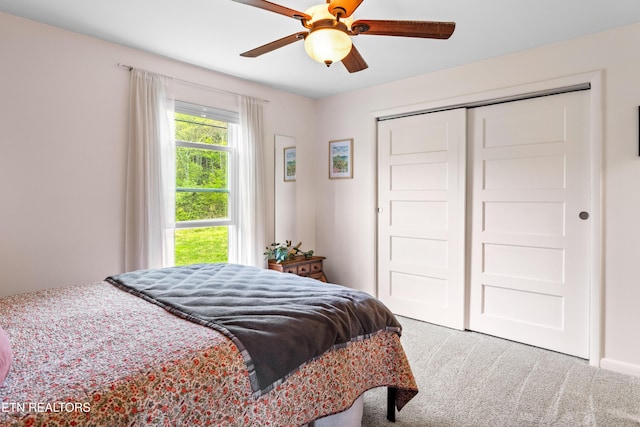 102 Milligan Rd, Maryville, TN 37803 - photo 28