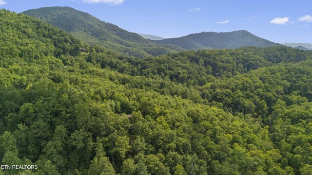 3148 Rocking Chair Ln, Sevierville, TN 37862 - photo 52