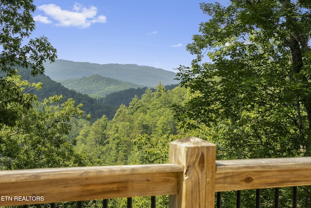 3148 Rocking Chair Ln, Sevierville, TN 37862 - photo 42