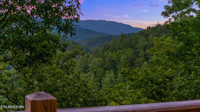 3148 Rocking Chair Ln, Sevierville, TN 37862 - photo 5