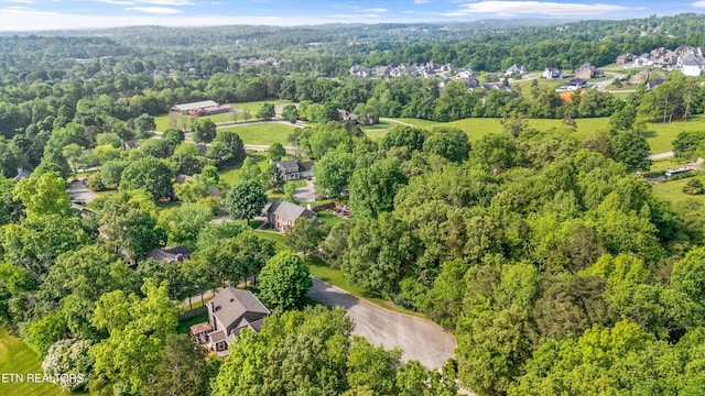 bird's eye view with a view of trees