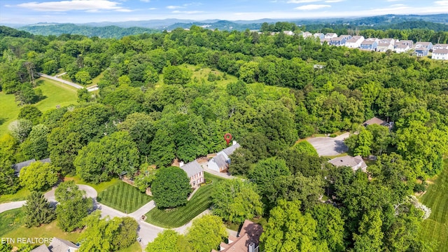 aerial view with a forest view