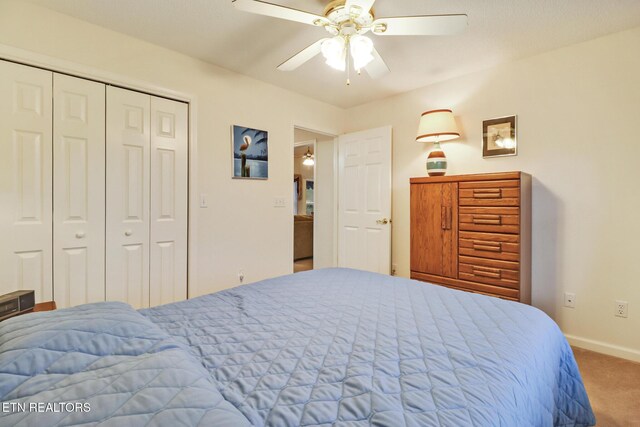 106 Tremont Dr, Crossville, TN 38558 - photo 18