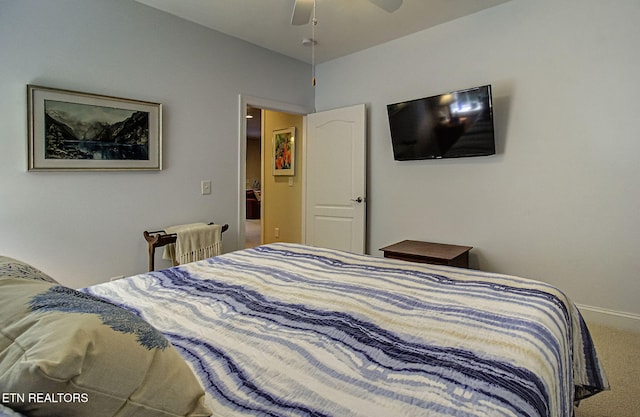 989 Rarity Bay Pkwy, Vonore, TN 37885 - bedroom featuring carpet and baseboards