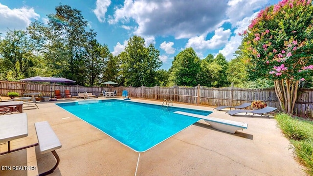 view of swimming pool with a fenced in pool, a patio, a fenced backyard, and a diving board
