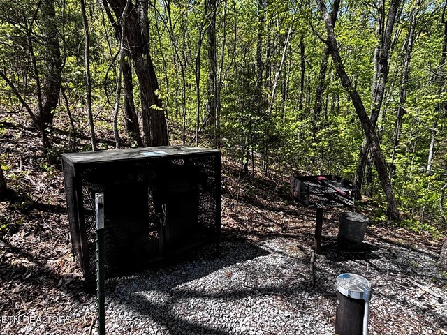 2580 Black Bear Ln, Sevierville, TN 37876 - exterior space with a forest view