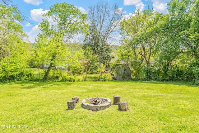 369 Robertsville Rd, Oak Ridge, TN 37830 - view of green lawn with a fire pit