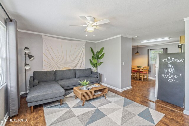 369 Robertsville Rd, Oak Ridge, TN 37830 - living room featuring wood finished floors, ceiling fan, crown molding, and baseboards