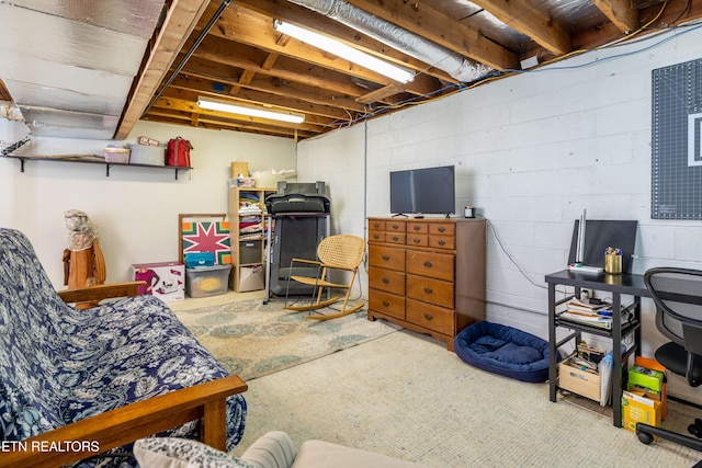 7324 Thorn Grove Pike, Knoxville, TN 37914 - unfinished basement with carpet and concrete block wall