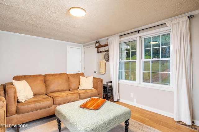 7324 Thorn Grove Pike, Knoxville, TN 37914 - living area with light wood-style floors, a textured ceiling, ornamental molding, and baseboards