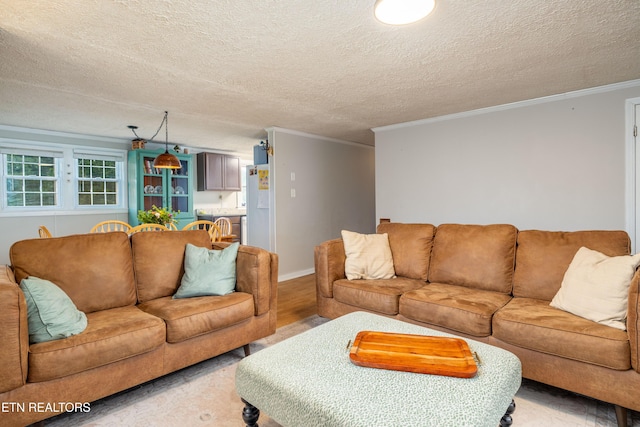 7324 Thorn Grove Pike, Knoxville, TN 37914 - living room featuring ornamental molding, light wood-style flooring, a textured ceiling, and baseboards