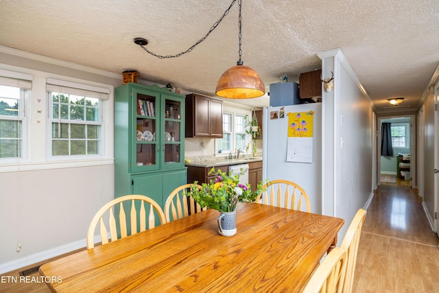 7324 Thorn Grove Pike, Knoxville, TN 37914 - dining area featuring a textured ceiling, baseboards, light wood-style floors, healthy amount of natural light, and ornamental molding