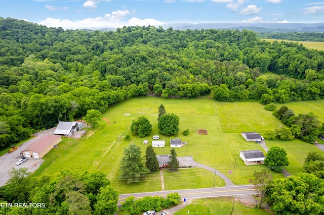 7324 Thorn Grove Pike, Knoxville, TN 37914 - bird's eye view of a forest