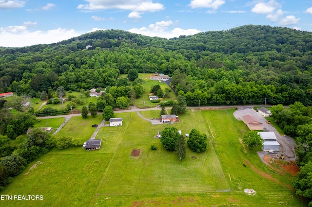 7324 Thorn Grove Pike, Knoxville, TN 37914 - aerial view of a forest