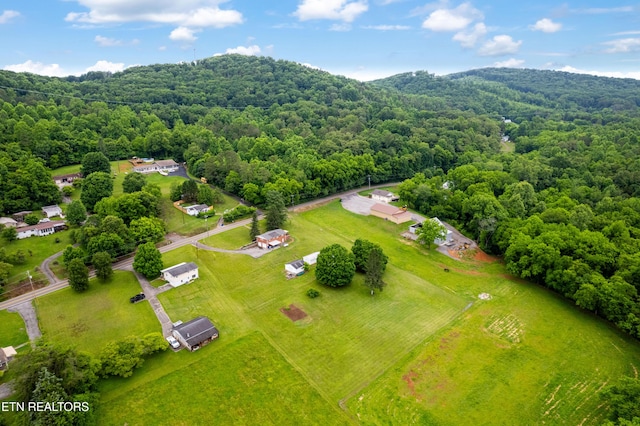 7324 Thorn Grove Pike, Knoxville, TN 37914 - bird's eye view of a forest