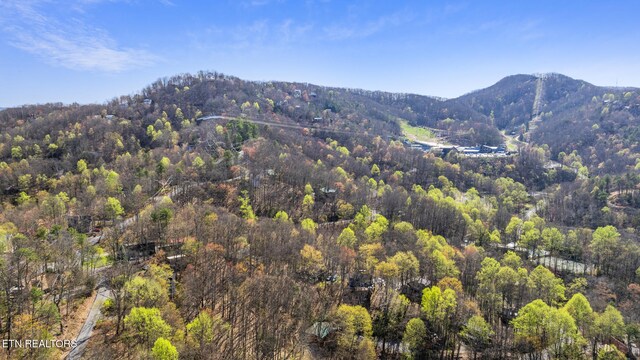 1348 N Baden Cir, Gatlinburg, TN 37738 - mountain view with a wooded view