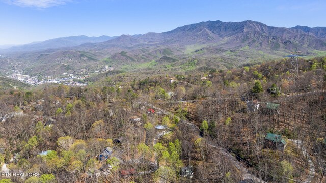 1348 N Baden Cir, Gatlinburg, TN 37738 - mountain view