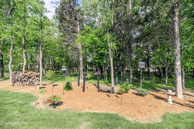169 Dudi Trl, Vonore, TN 37885 - view of community