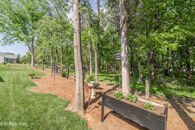 169 Dudi Trl, Vonore, TN 37885 - view of community featuring a yard