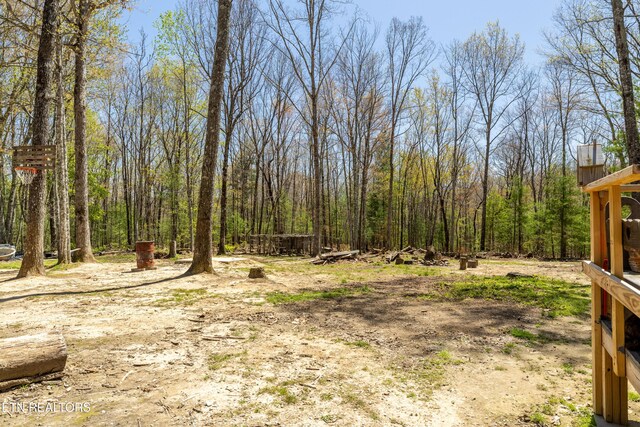 974 Tiffany Ln, Spring City, TN 37381