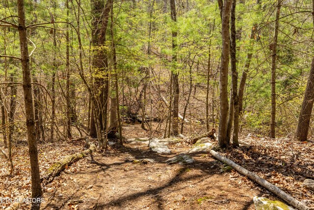 974 Tiffany Ln, Spring City, TN 37381