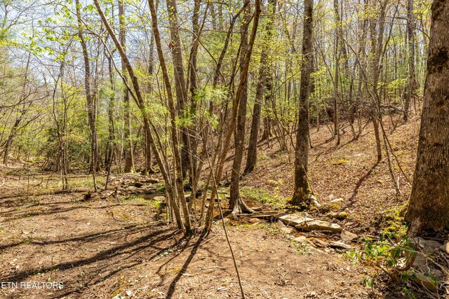 974 Tiffany Ln, Spring City, TN 37381