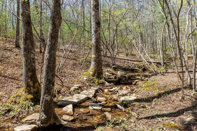 974 Tiffany Ln, Spring City, TN 37381