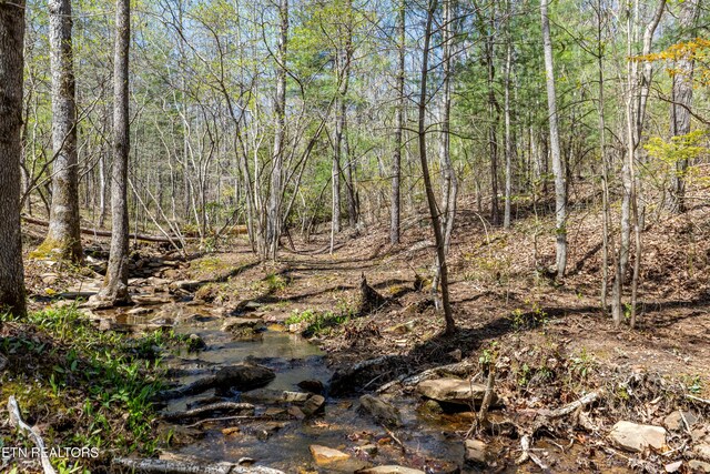 974 Tiffany Ln, Spring City, TN 37381
