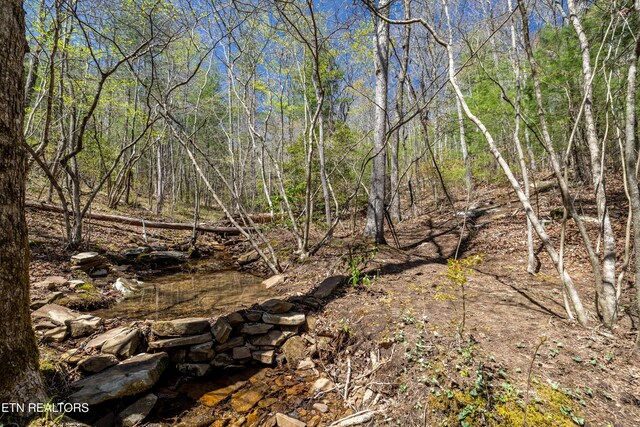 974 Tiffany Ln, Spring City, TN 37381