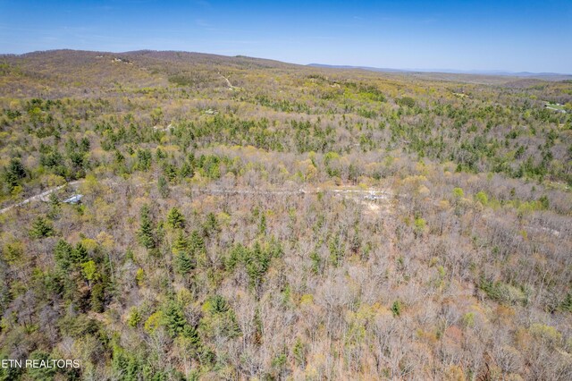 974 Tiffany Ln, Spring City, TN 37381