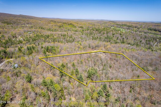 974 Tiffany Ln, Spring City, TN 37381