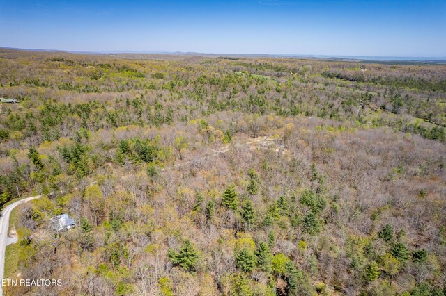974 Tiffany Ln, Spring City, TN 37381