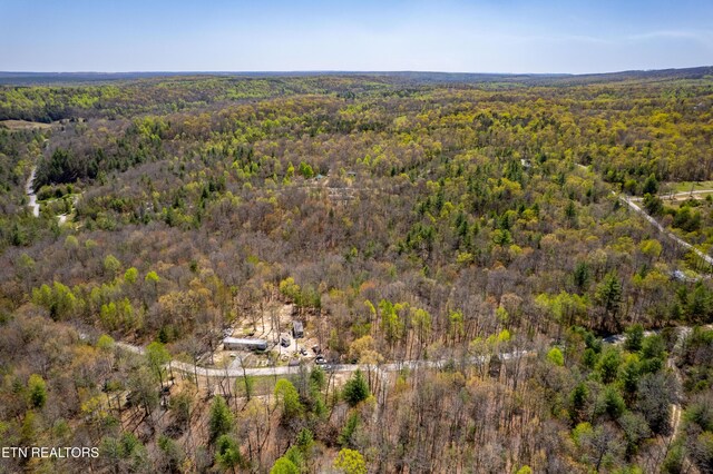 974 Tiffany Ln, Spring City, TN 37381